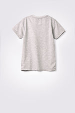 Load image into Gallery viewer, Boys T-Shirts
