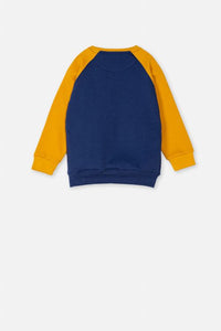 Boy's Sweatshirt F/Slv.